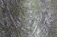 Drumchork fibreglass roof work